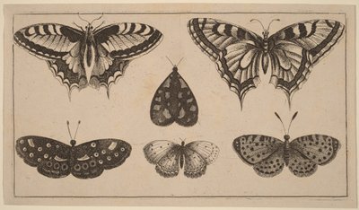  作： Wenceslaus Hollar