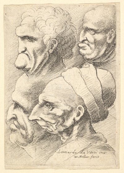 左のプロファイルに4つのグロテスクな頭部、1625-77。 作： Wenceslaus Hollar