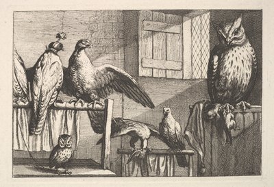 ホークスとフクロウ、1625-77年。 作： Wenceslaus Hollar