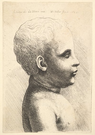 子供の頭と肩、横向き、1645 作： Wenceslaus Hollar