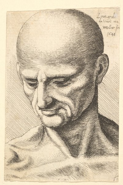 下を向く禿げたたくましい男の頭、1648年。 作： Wenceslaus Hollar