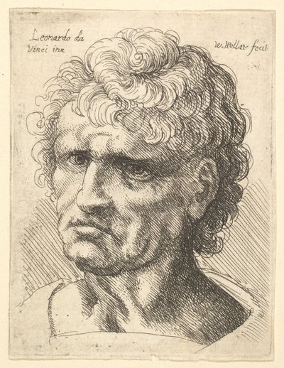 真剣な表情をした男性の頭部 1625-77年 作： Wenceslaus Hollar