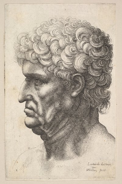 左に横に太い巻き毛の男性の頭、1640〜49年。 作： Wenceslaus Hollar