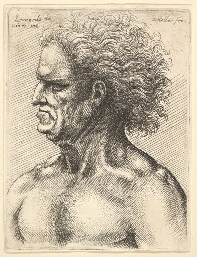 1625-77、流れる髪を残した横顔の筋肉老人の頭。 作： Wenceslaus Hollar