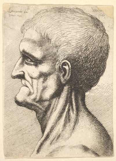 歯のない男性の頭、左に横向きのむくみのある筋腱の首、1648年。 作： Wenceslaus Hollar