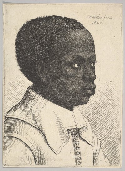 右側の横顔の若い黒人少年の頭、1645。 作： Wenceslaus Hollar