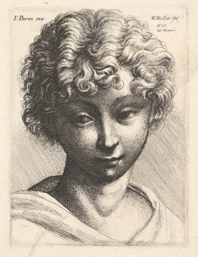 1645年、少女の頭。 作： Wenceslaus Hollar