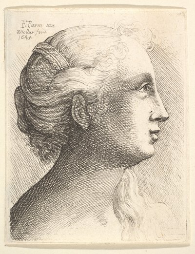 右側のプロファイルの若い女性の頭、1645。 作： Wenceslaus Hollar
