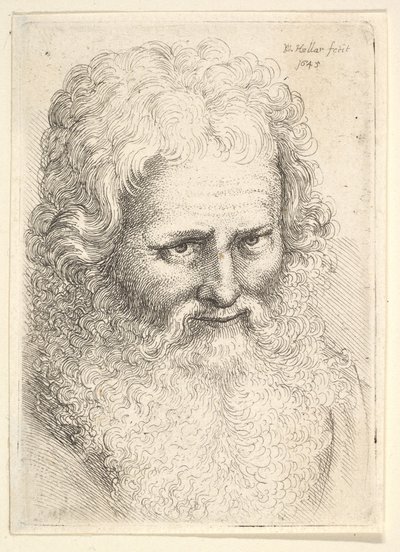 大きなひげを持つ老人の頭、1645 作： Wenceslaus Hollar