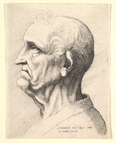 左に横向きの耳の周りに巻き毛の房を持つ老人の頭、1644-52。 作： Wenceslaus Hollar