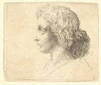 左側の縦長の髪を持つ若い男性の頭、1644-52。 作： Wenceslaus Hollar