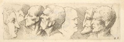 頭の研究、1625-77 作： Wenceslaus Hollar