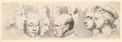 ヘッドスタディ、1644-52。 作： Wenceslaus Hollar