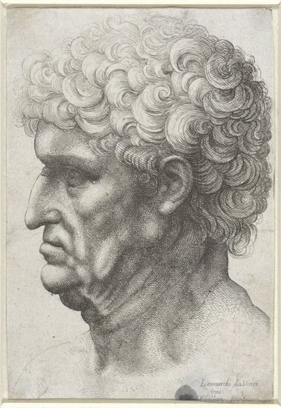 プロファイルの巻き毛を持つ男の頭 作： Wenceslaus Hollar