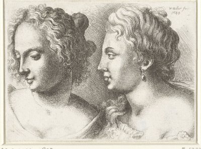 2 人の若い女性の頭 Varie figurae et probae (シリーズタイトル) レオナルド ダ ヴィンチ (シリーズ タイトル) の似顔絵、頭部、奇形 作： Wenceslaus Hollar