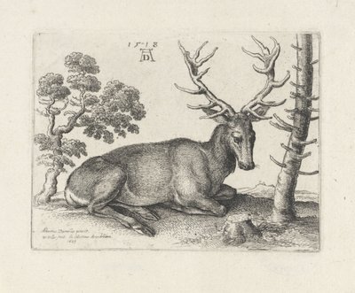 横たわる鹿、右側 作： Wenceslaus Hollar