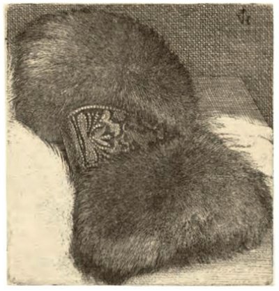 ブロケードバンド付きマフ 作： Wenceslaus Hollar