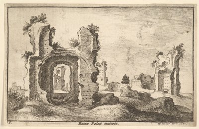 パラティーノの大半、パラティーノ宮殿、ローマ、1650。 作： Wenceslaus Hollar