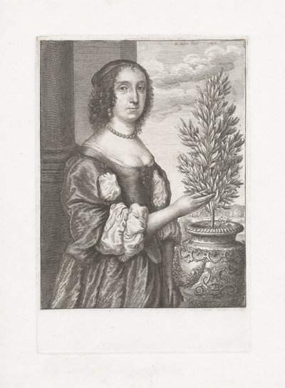 月桂樹の隣に立っている女性の肖像画 作： Wenceslaus Hollar