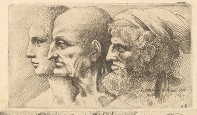 左のプロファイルにある3つの頭の列、1645。 作： Wenceslaus Hollar