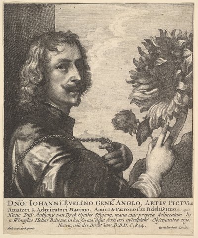 アンソニーヴァンダイク卿とヒマワリ、1644年。 作： Wenceslaus Hollar