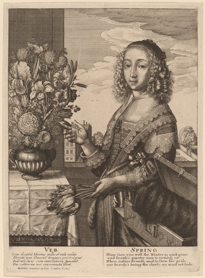 バネ 作： Wenceslaus Hollar