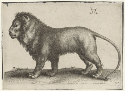 立っているライオン 作： Wenceslaus Hollar