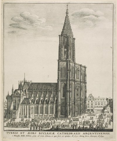 ストラスブール大聖堂 作： Wenceslaus Hollar