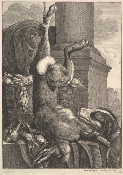 死んだウサギ、1649年。 作： Wenceslaus Hollar