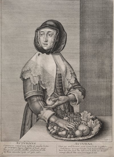 四季：1641年秋。 作： Wenceslaus Hollar