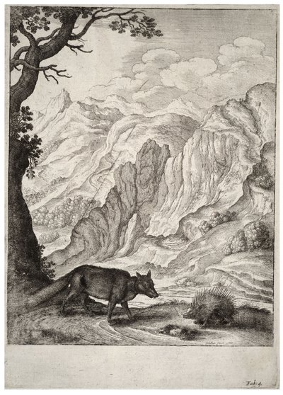 キツネとヤマアラシの話状態2 作： Wenceslaus Hollar