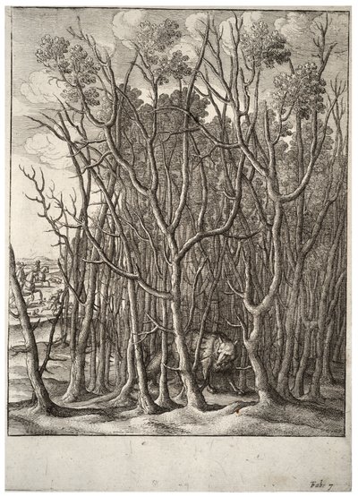 キツネとイバラの茂み状態2 作： Wenceslaus Hollar