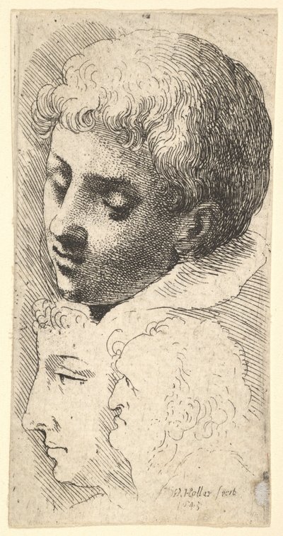 3頭、1645。 作： Wenceslaus Hollar