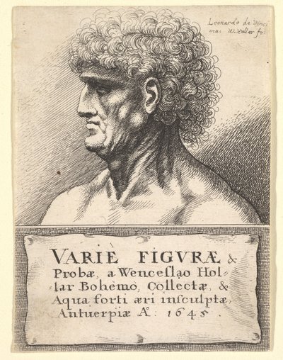 様々な図のタイトルページも正しく、1645。 作： Wenceslaus Hollar