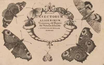 タイトルページ。 作： Wenceslaus Hollar