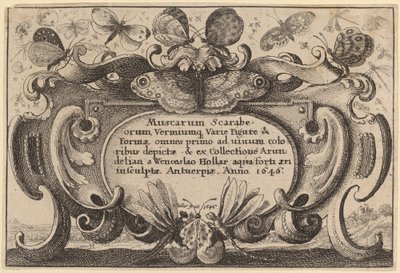 タイトルページ 作： Wenceslaus Hollar