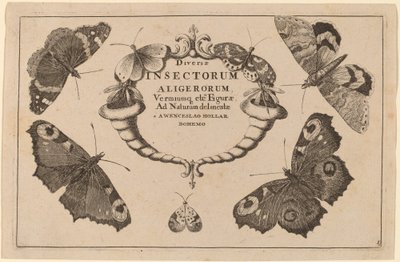 タイトルページ 作： Wenceslaus Hollar