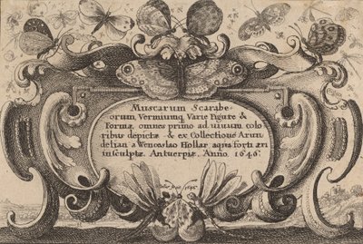 タイトルページ、1646年。 作： Wenceslaus Hollar