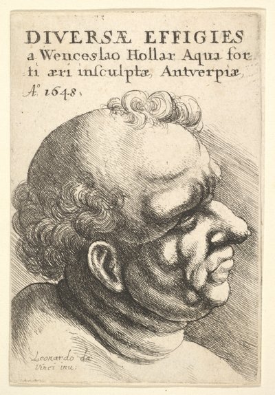 タイトルページ、別の図、1648。 作： Wenceslaus Hollar