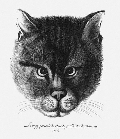 ロシアの皇帝アレクシス1世ミハイロビッチの猫の実像 作： Wenceslaus Hollar