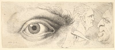 2つの目と2つの頭、1644-52。 作： Wenceslaus Hollar
