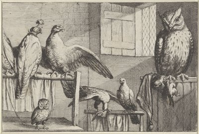 納屋の鷹とフクロウ 多様な鳥類（シリーズタイトル） 別の鳥（シリーズタイトル） 作： Wenceslaus Hollar