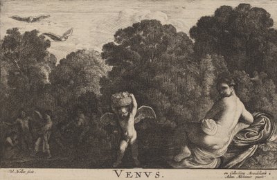 金星です。 作： Wenceslaus Hollar