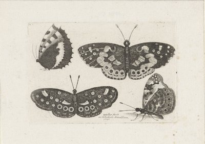 ヴィエル・ヴリンダース 昆虫（連載タイトル） コガネバエ（シリーズタイトル） 作： Wenceslaus Hollar