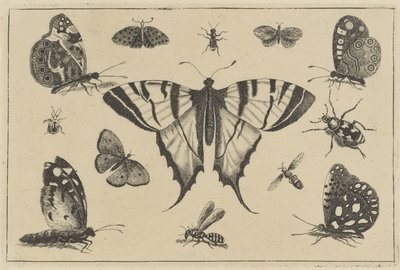 蝶、ハチ、その他の昆虫 いろいろな昆虫（連載タイトル） Diversae Insectorum (シリーズタイトル) 作： Wenceslaus Hollar