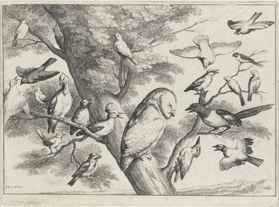 木の鳥 別の鳥（シリーズタイトル） 作： Wenceslaus Hollar