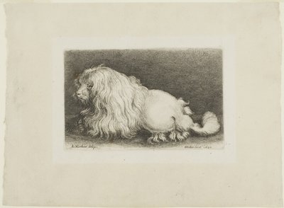 白犬 作： Wenceslaus Hollar