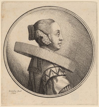 横顔にラフのある女性 作： Wenceslaus Hollar