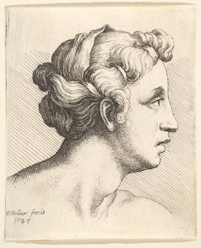 右側のプロファイルに髪の束が束ねられた女性（1645）。 作： Wenceslaus Hollar