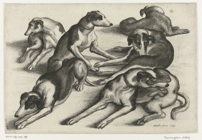 6 横たわっている狩猟犬 狩猟と猟犬とゲーム（連載タイトル） 作： Wenceslaus Hollar